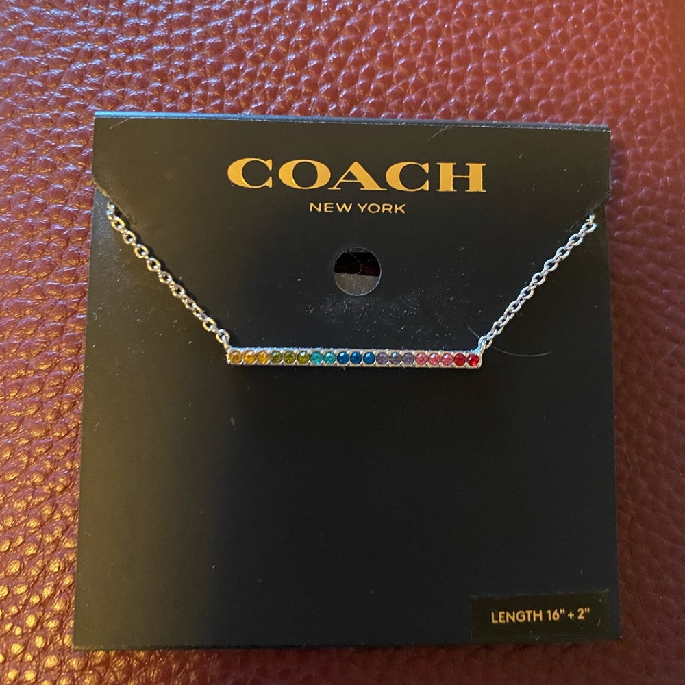Coach Pride Necklace